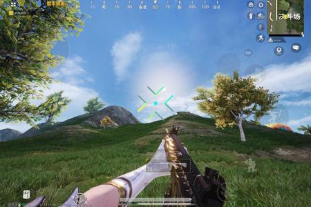 如何选择可靠的和平精英辅助？的配图，内容相关：如果不想冒险，可通过练枪软件或观看高手直播提升技术。官方偶尔会推出“训练营”活动，提供额外资源帮助玩...